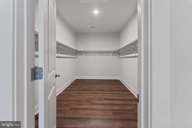 spacious closet with dark hardwood / wood-style flooring