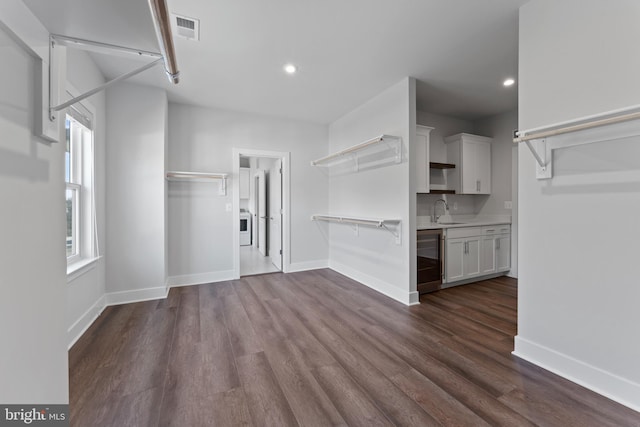 spacious closet with sink and dark wood-type flooring