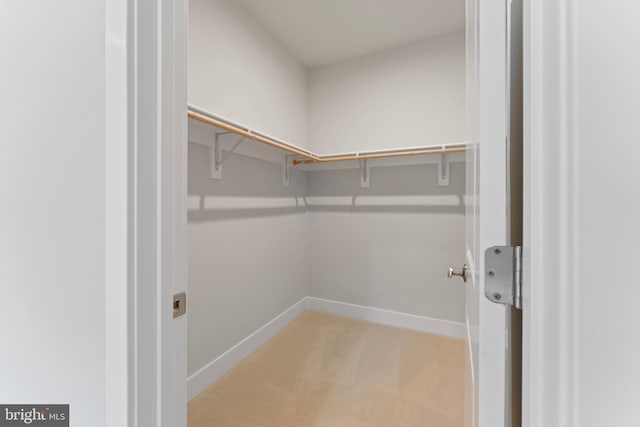 view of spacious closet