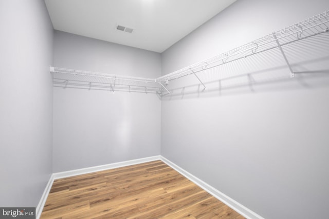 walk in closet with hardwood / wood-style floors