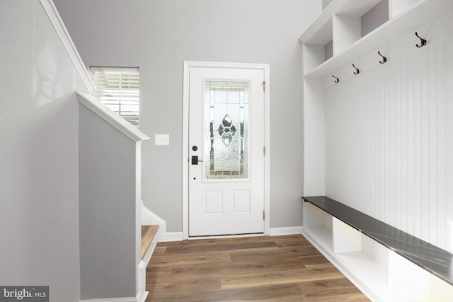 mudroom with dark hardwood / wood-style floors