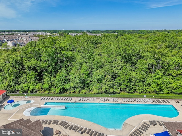 view of swimming pool