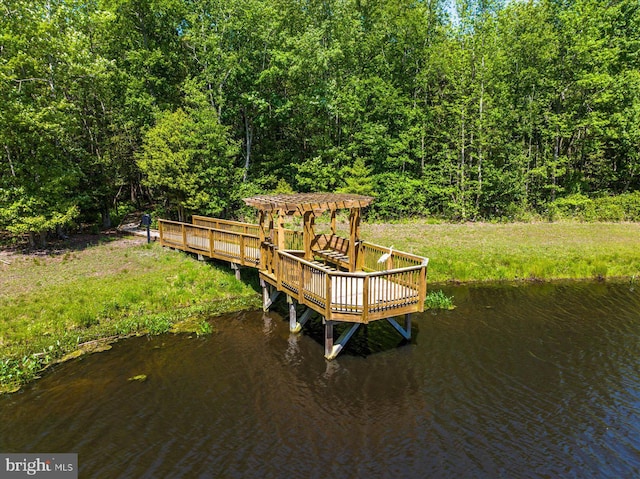 dock area with a water view