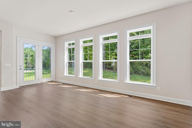 empty room with dark hardwood / wood-style flooring and a wealth of natural light