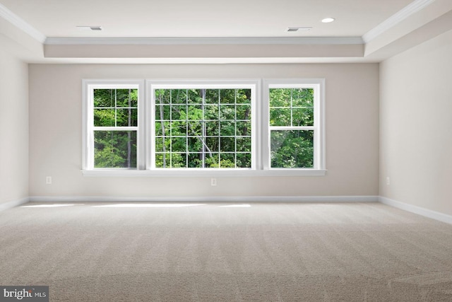 carpeted empty room with ornamental molding