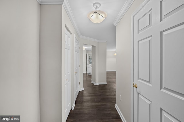 hallway with dark hardwood / wood-style flooring and crown molding