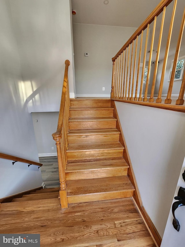 staircase featuring hardwood / wood-style floors