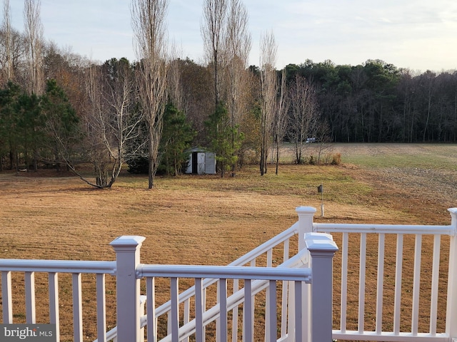 view of yard featuring a storage unit