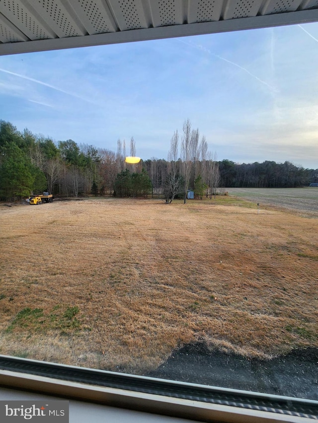 view of yard with a rural view