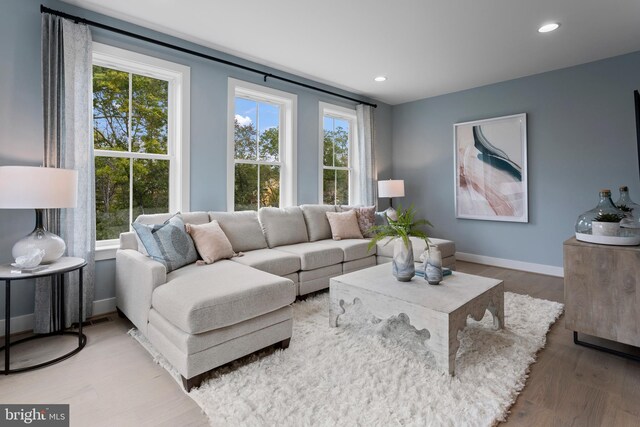 living room featuring hardwood / wood-style floors and a wealth of natural light