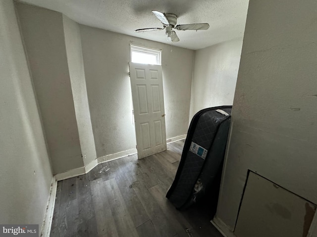 interior space featuring ceiling fan, dark hardwood / wood-style flooring, and a textured ceiling