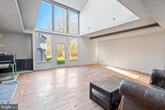 living room featuring light hardwood / wood-style floors, a healthy amount of sunlight, a towering ceiling, and a textured ceiling