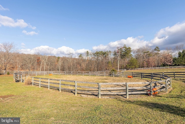 view of yard with a rural view