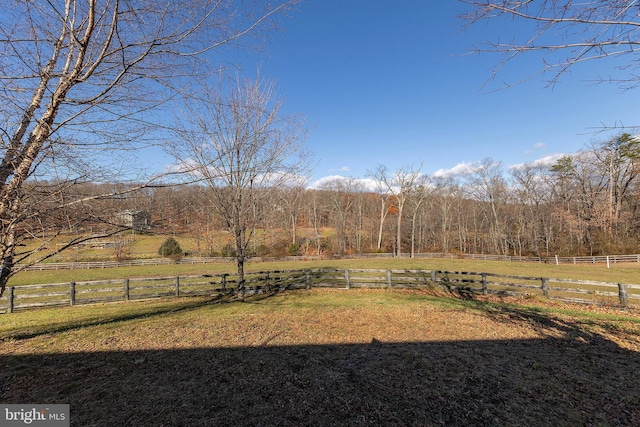 view of yard with a rural view