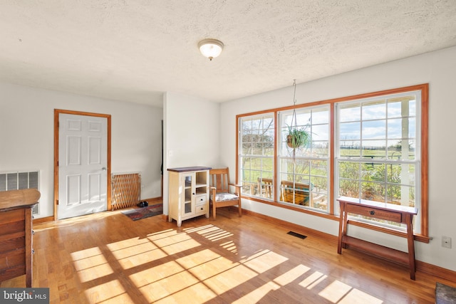 interior space with light hardwood / wood-style flooring and a textured ceiling