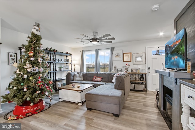 living room featuring ceiling fan and light hardwood / wood-style floors