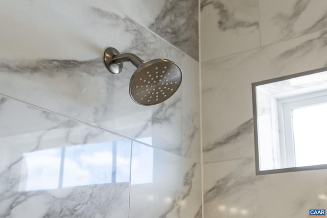 interior details with a shower