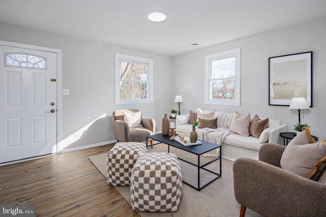 living room featuring light hardwood / wood-style floors