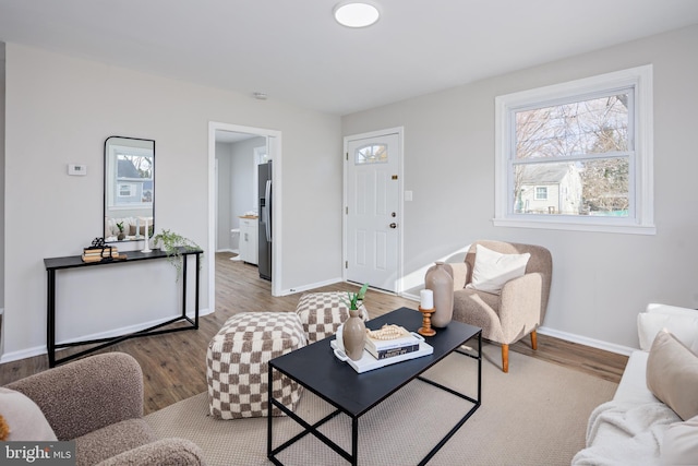 living room with wood-type flooring