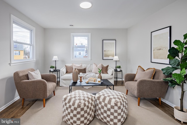 living room featuring hardwood / wood-style flooring