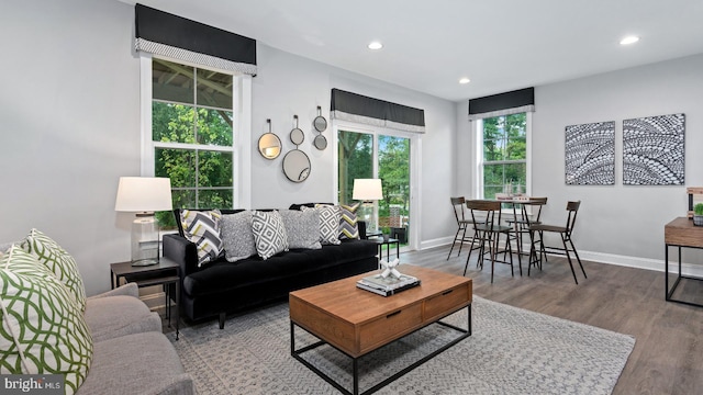 living room with hardwood / wood-style flooring