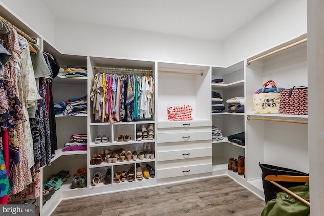 spacious closet with hardwood / wood-style flooring