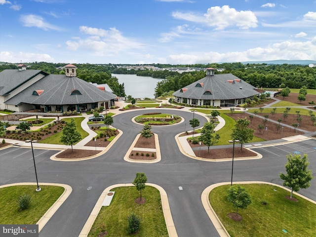 bird's eye view with a water view