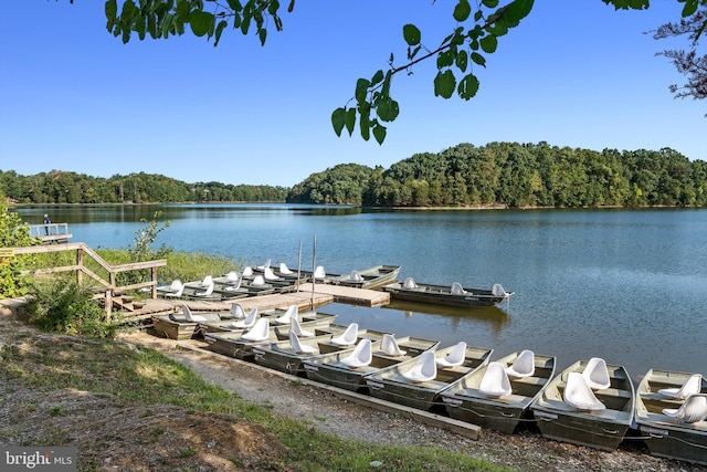 view of dock with a water view