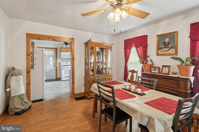 dining room with ceiling fan and light hardwood / wood-style flooring