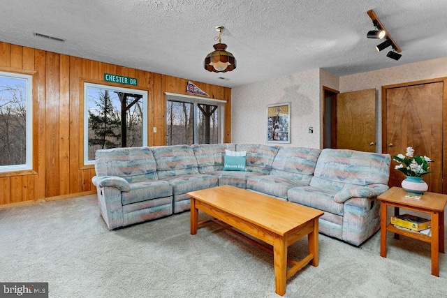 carpeted living room featuring wood walls, rail lighting, and a textured ceiling