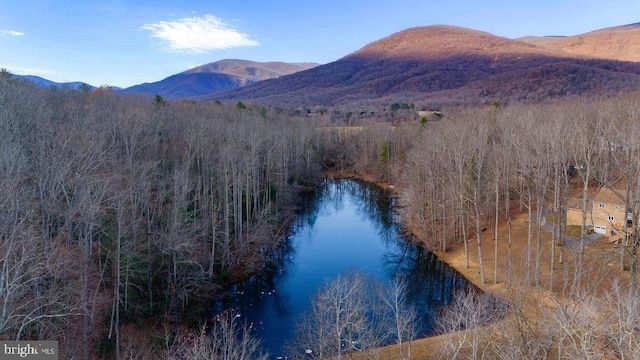 mountain view featuring a water view