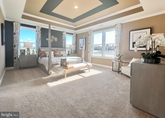 carpeted bedroom with a raised ceiling and crown molding