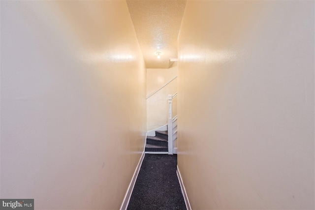 stairway with carpet and a textured ceiling