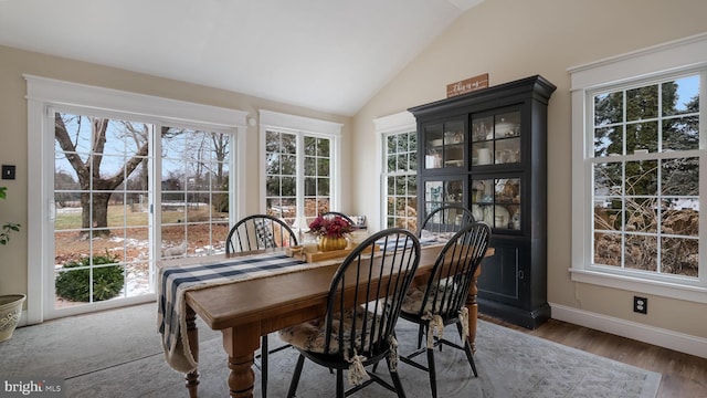 dining area featuring vaulted ceiling, a healthy amount of sunlight, and dark hardwood / wood-style floors