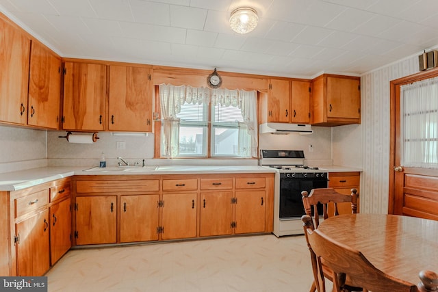 kitchen with white gas range oven and sink