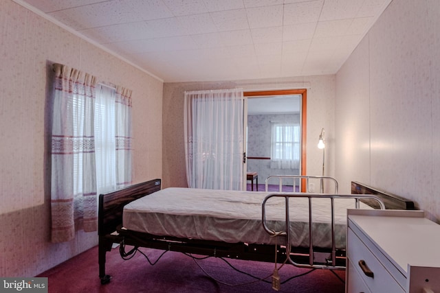 bedroom featuring carpet floors