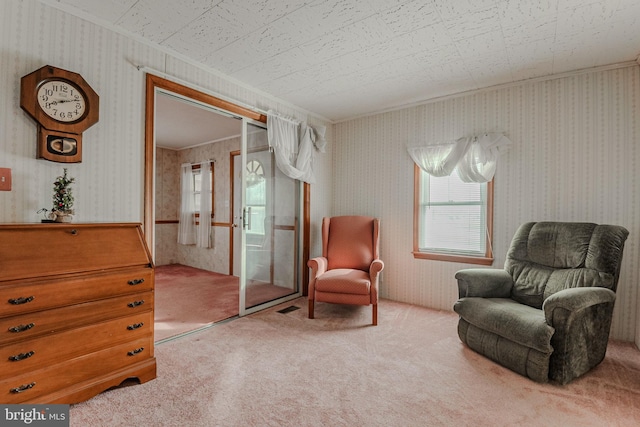 sitting room with carpet