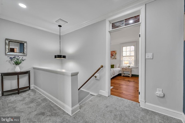 hallway featuring crown molding and carpet floors