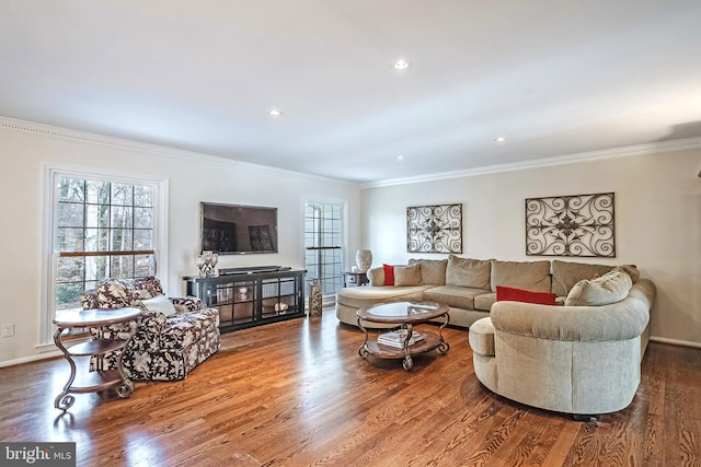 living room with a wealth of natural light, crown molding, and hardwood / wood-style flooring