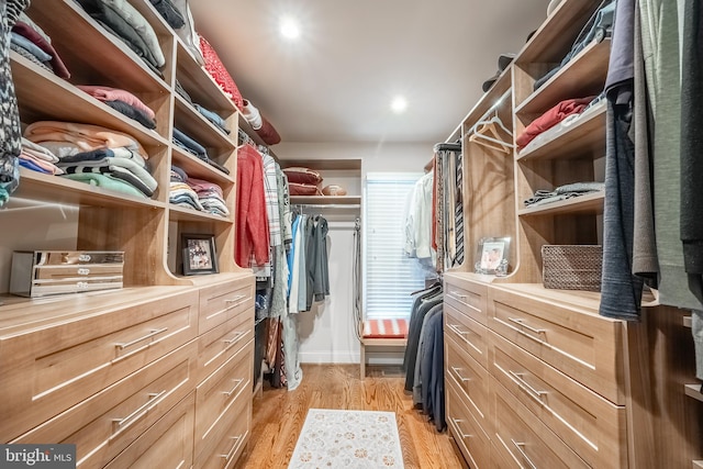 walk in closet with light wood-type flooring