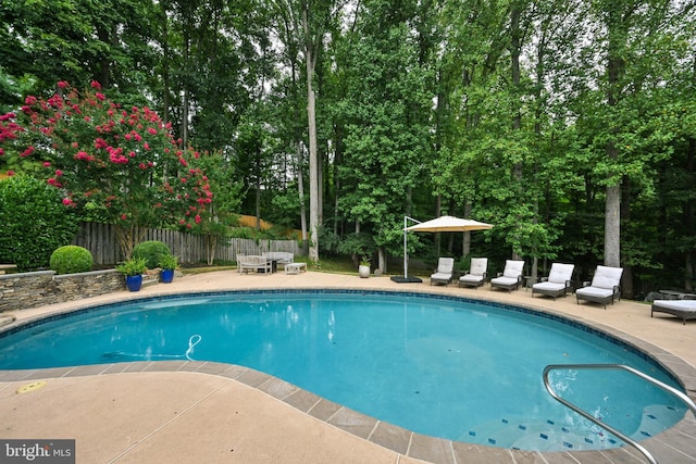 view of pool with a patio