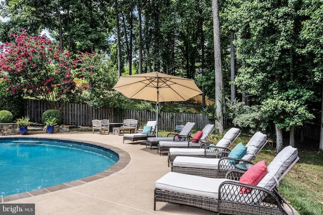 view of swimming pool featuring a patio