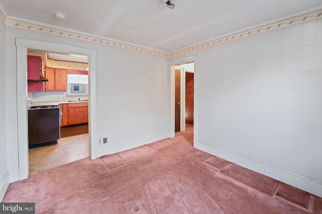 spare room featuring ornamental molding, sink, and light carpet