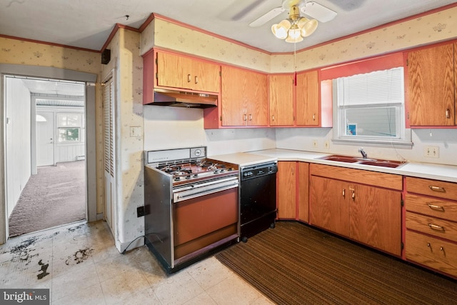 kitchen with range with gas cooktop, dishwasher, sink, ceiling fan, and crown molding