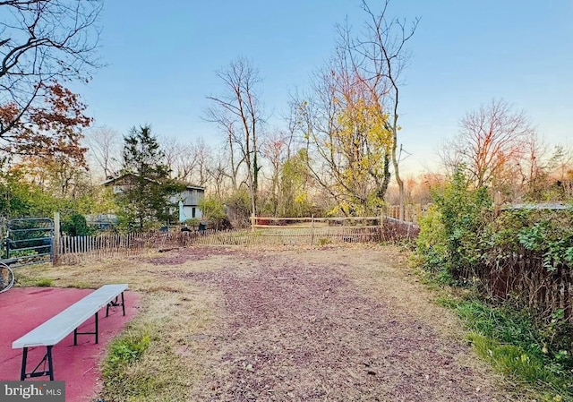 view of yard at dusk