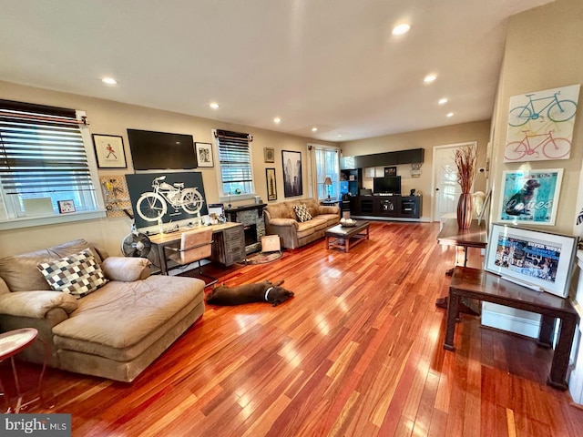 living room with wood-type flooring