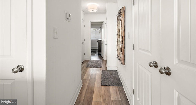 corridor with wood-type flooring and a baseboard radiator