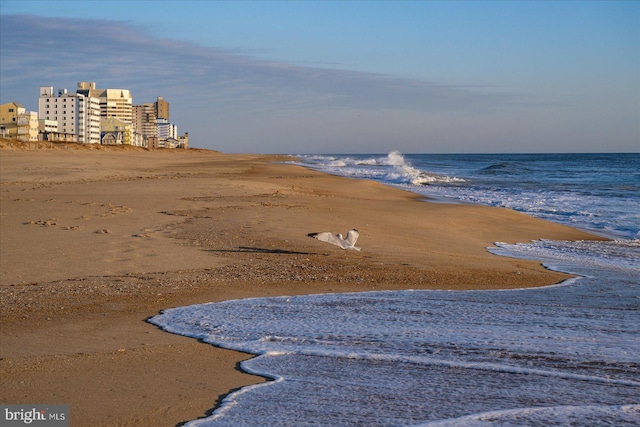 property view of water with a view of the beach