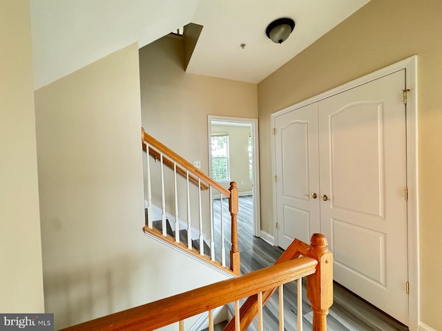 stairs with hardwood / wood-style flooring