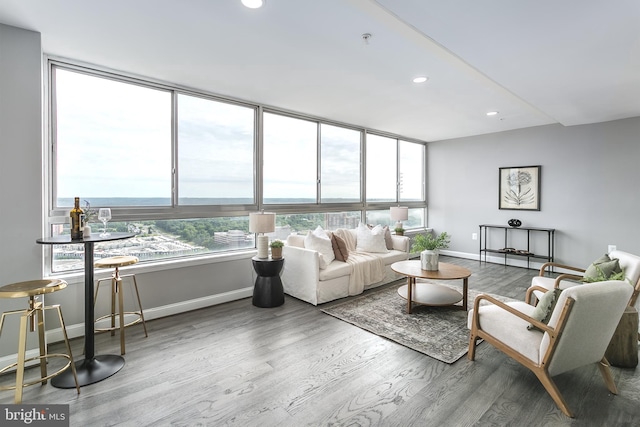 living room featuring hardwood / wood-style flooring